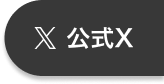 公式X