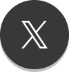 公式X
