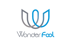 Wonder Fool